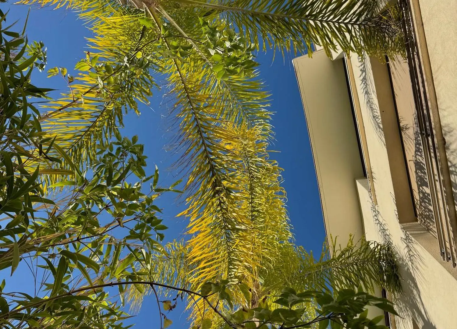 Cannes Villa St Barth Guest house