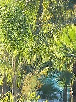 Guest house Cannes Villa St Barth