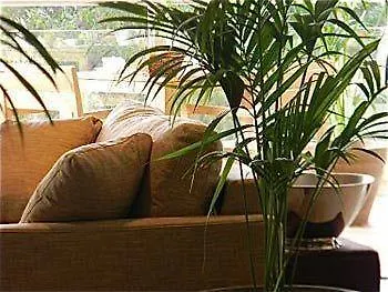 ***** Pensión Cannes Villa St Barth Francia